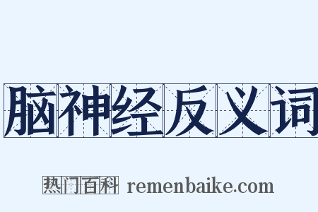 脑神经反义词是什么意思的图片